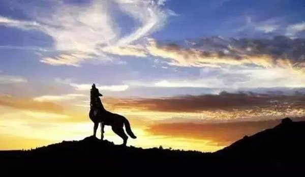 創業，一(yī)个(gè)從家(jiā)狗变成(chéng)狼的(de)过程